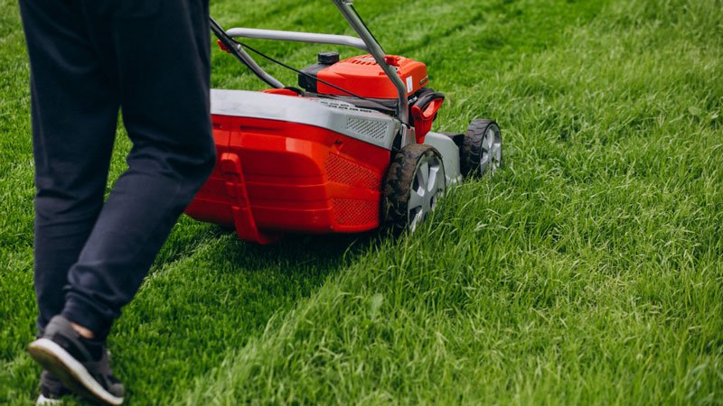 Causes Of A Lawnmower Revving High - Gardeners Yards