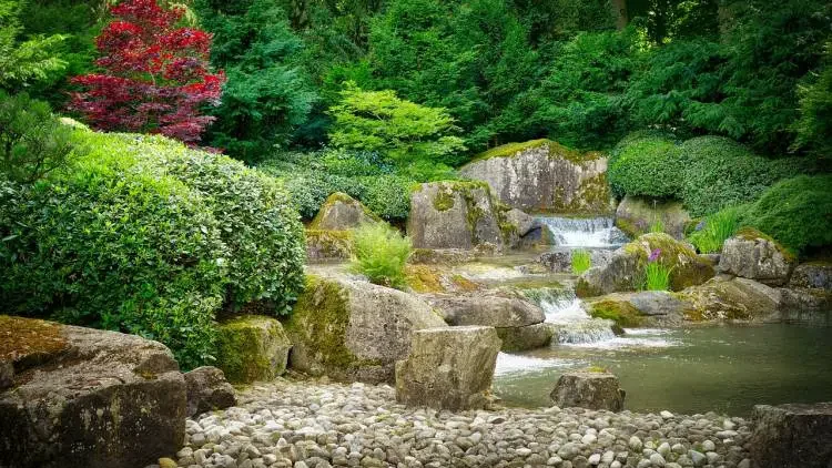 How to make your waterfall sound louder - Gardeners Yards