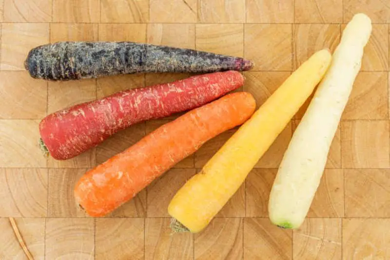 Assorted garden carrots in white, orange, yellow, red, and purple, freshly harvested and displayed on a wooden surface.