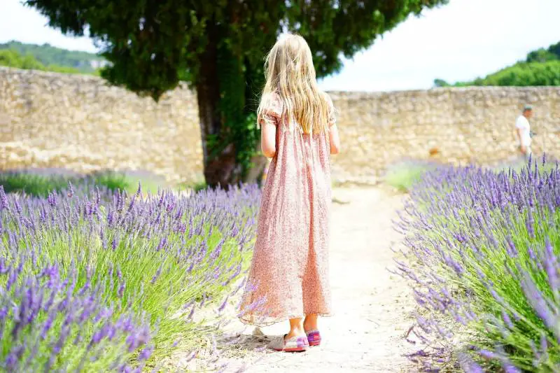 Girl in a pink dress walking along a path flanked by blooming lavender.