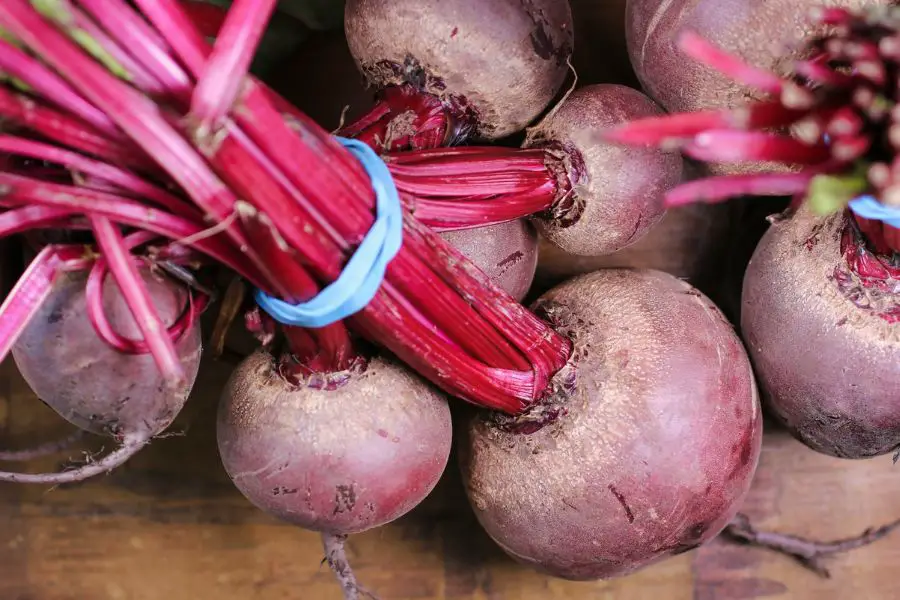 Bunched beets with vibrant red stalks, vegetables not favoring peat moss, on a wooden surface.