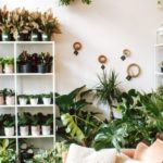 Do You Need a License to Sell Plants from Home?