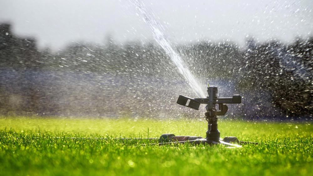 Best Lawn Watering Practice - Gardeners Yards