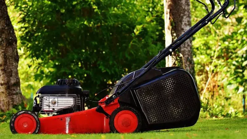 Can I use my lawn mower without an air filter - Gardeners Yards