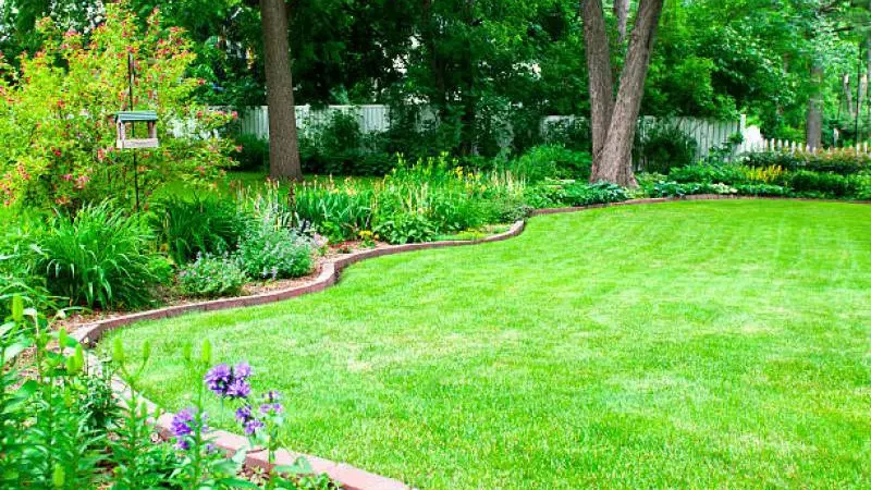 How to edge a lawn or a flower bed with a shovel - Gardeners Yards