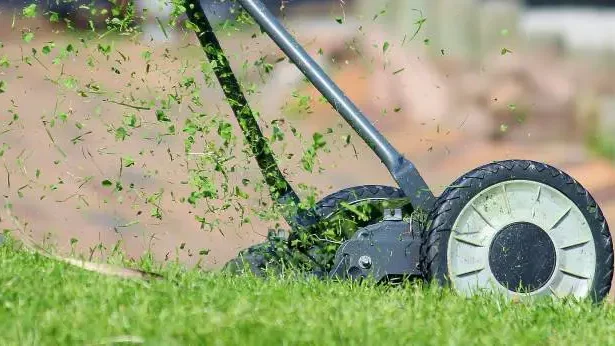 How to use lawn mower without bag - Gardeners Yards