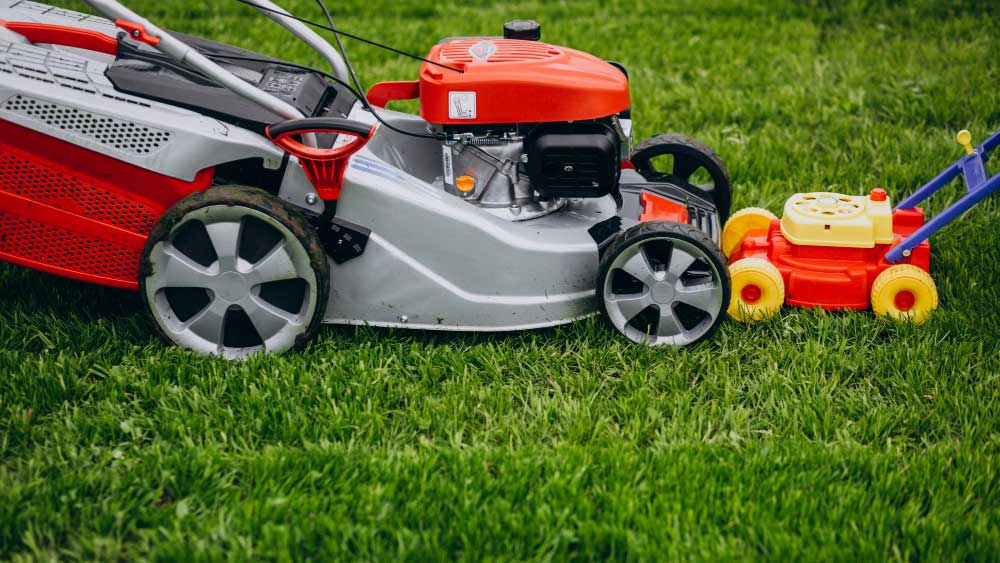 Differences Between A Weed Wacker And Lawnmower - Gardeners Yards
