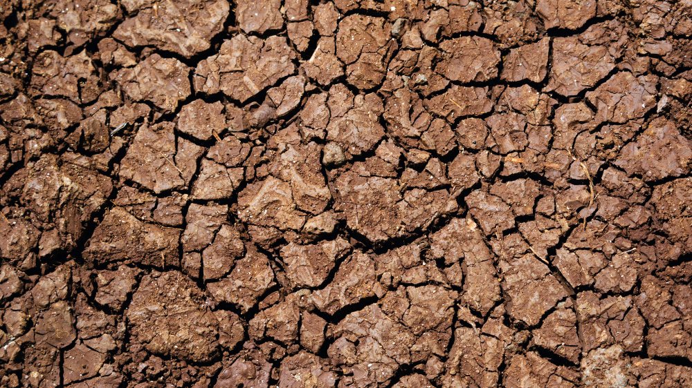 Close-up of parched clay soil, exemplifying the challenging conditions that require additives for better plant support.




