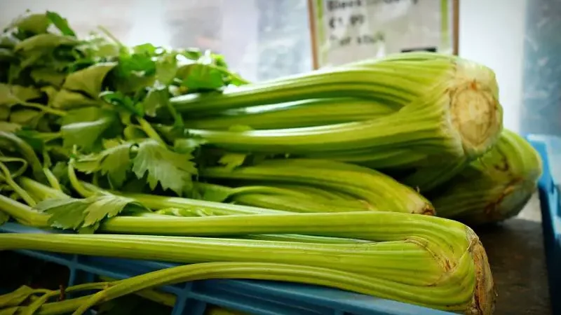 Where does Celery Grow Around The World