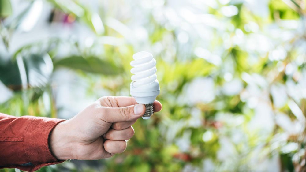 6 Best CFL Grow Lights - Gardeners Yards
