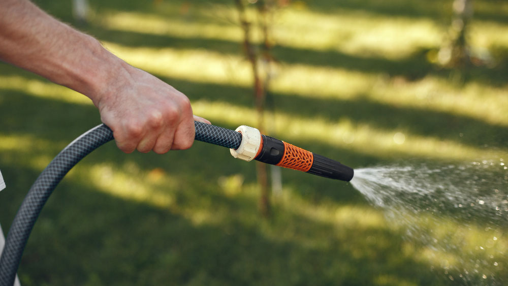 Hand holding a garden hose with a nozzle, spraying water gently over a lawn, illustrating the use of garden hose filters.