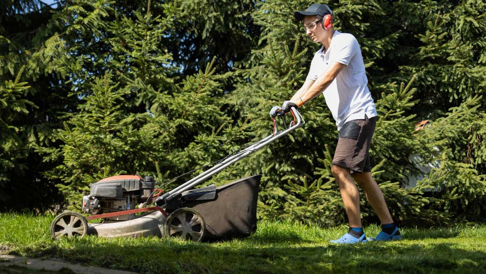 Best Lawn Sweeper - Gardeners Yards