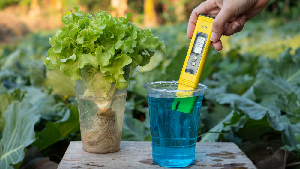 How To Lower pH In Water For Plants - Gardeners Yards