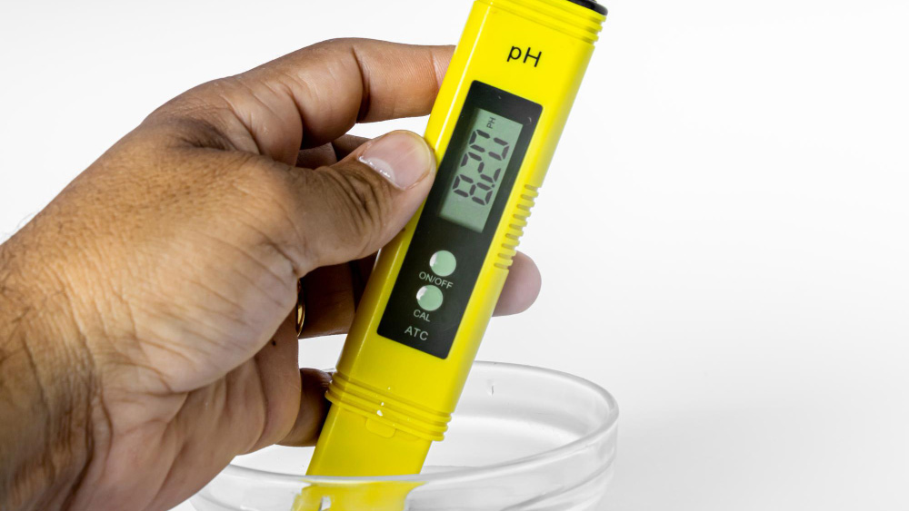 How to Test the pH Level of Water - Gardeners Yards