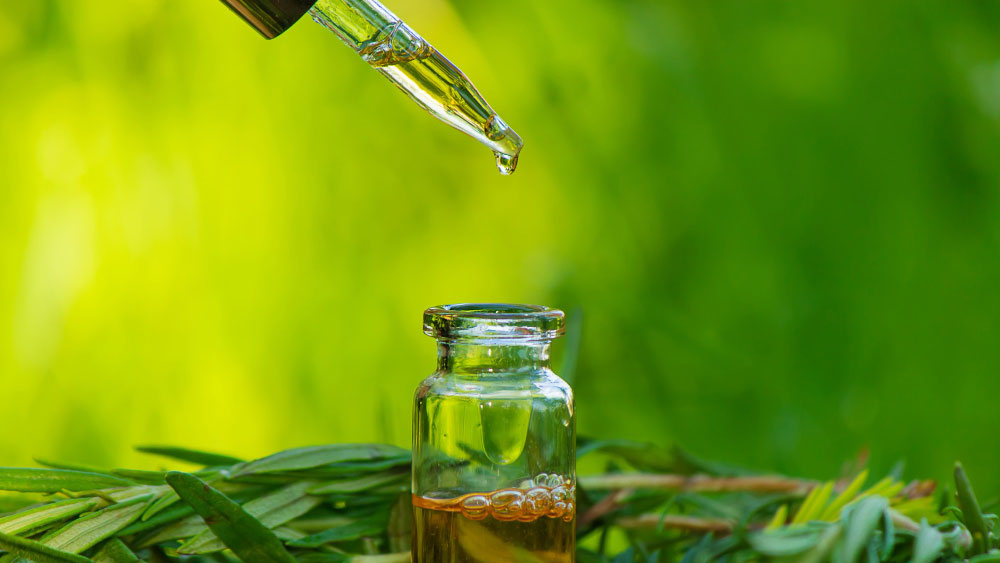 Dropper over bottle with oil amidst green leaves.