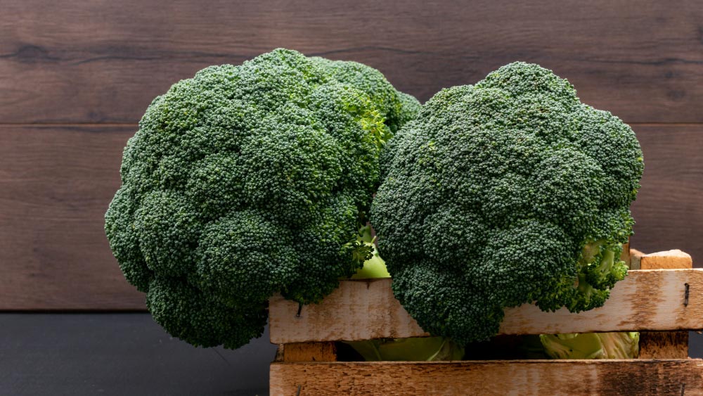 Two heads of lush broccoli in a wooden crate, perfect for square foot gardening broccoli.