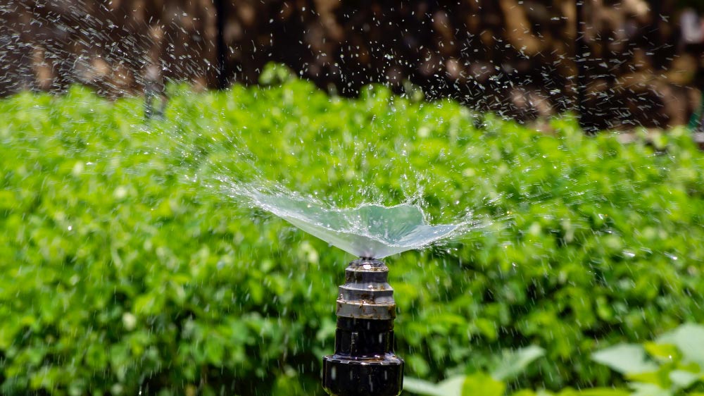 Splash of water from a sprinkler in a green garden, likely powered by solar powered water pumps.