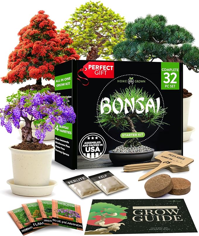Home-Grown-Bonsai-Tree-Starter-Kit-Gardeners-Yards