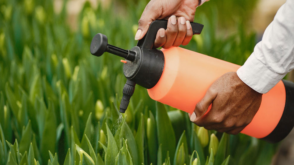 Liquid Fertilizer For Lawn Care - Gardeners Yards