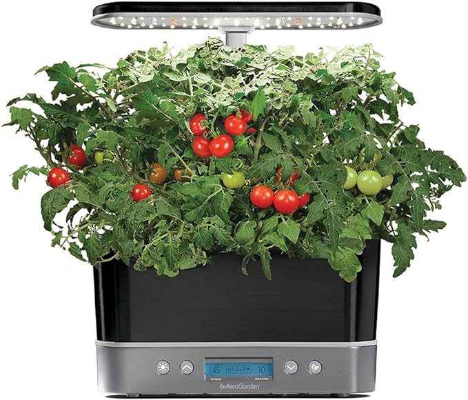 Grow tomatoes indoors with an AeroGarden hydroponic system, featuring LED lights for lush growth