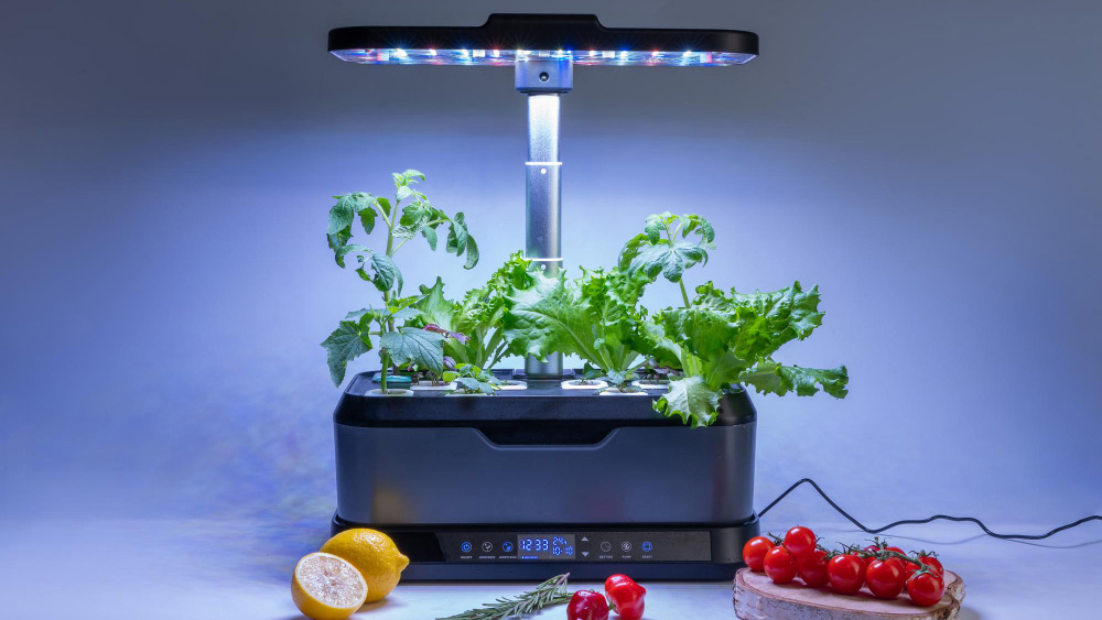 Indoor hydroponic garden with LED light, growing tomatoes and lettuce, efficient and modern.