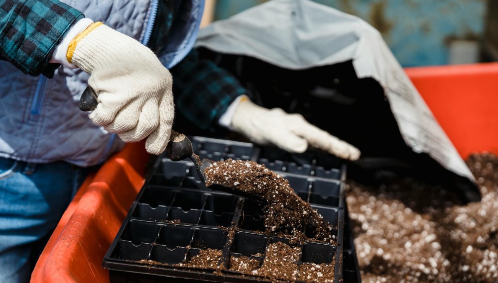 Person wearing gloves fills seedling tray with soil and fertilizer for planting.