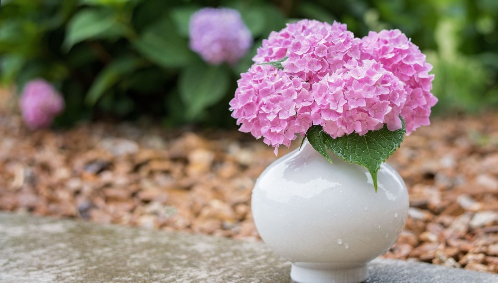 Pink hydrangea bouquet in white vase, elegant wedding centerpiece.