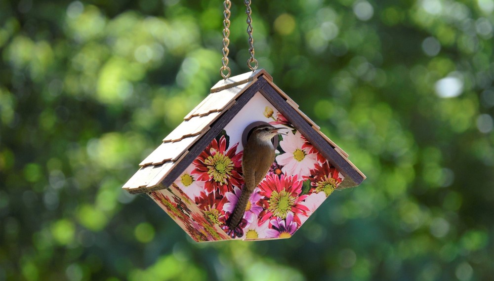 Small bird emerges from floral-patterned birdhouse, lush green backdrop.