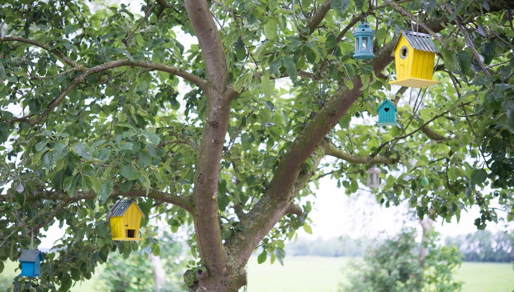 Colorful birdhouses nestled among green leaves in a lush tree.